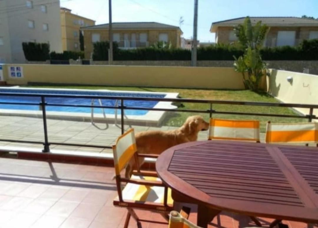 Apartamento Con Terraza Y Acceso Directo A La Piscina Y A 50 M De La Playa ミアミ・プラトーヤ エクステリア 写真