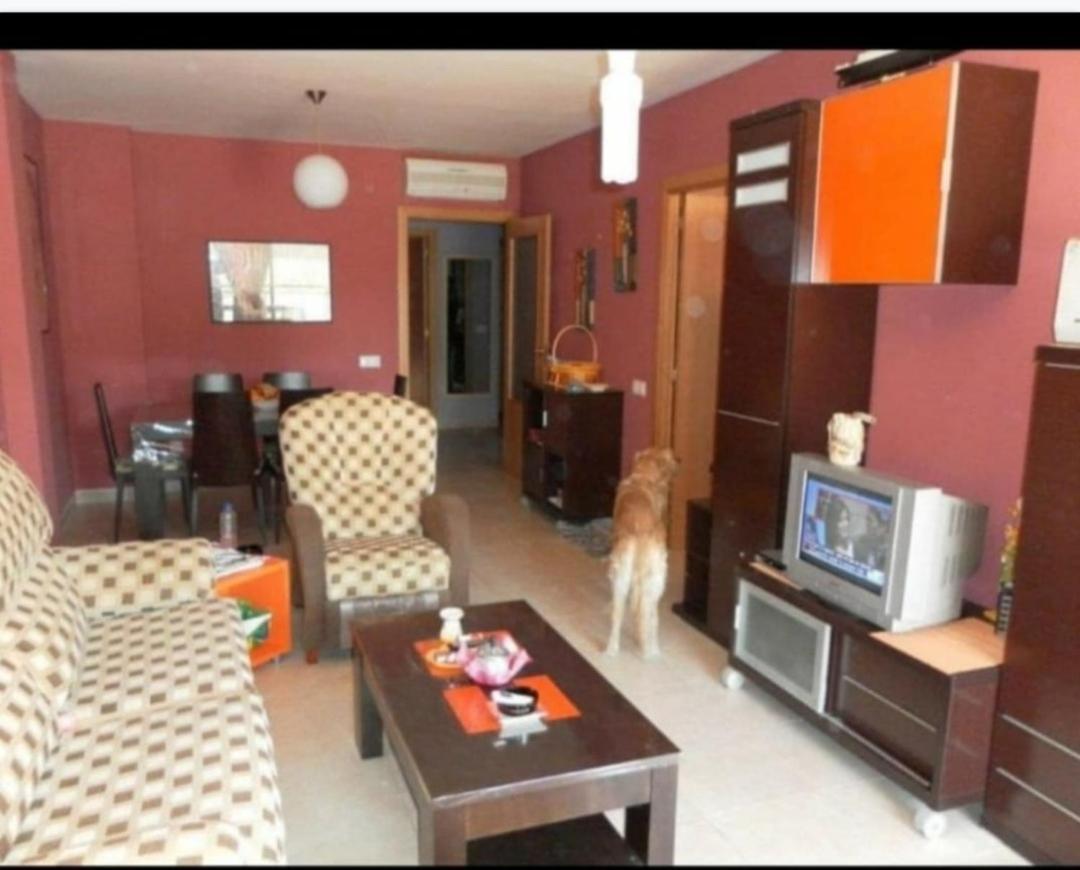 Apartamento Con Terraza Y Acceso Directo A La Piscina Y A 50 M De La Playa ミアミ・プラトーヤ エクステリア 写真