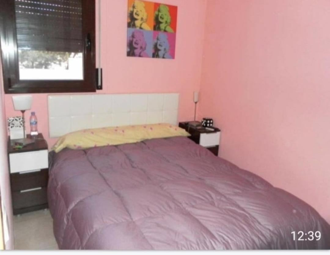 Apartamento Con Terraza Y Acceso Directo A La Piscina Y A 50 M De La Playa ミアミ・プラトーヤ エクステリア 写真